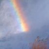 Rainbow Miracle